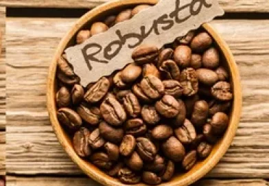 arabica_coffee_robusta_coffee_480x480-1-e1685709778538.webp