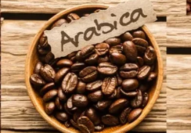 arabica_coffee_robusta_coffee_480x480-e1685709739716.webp